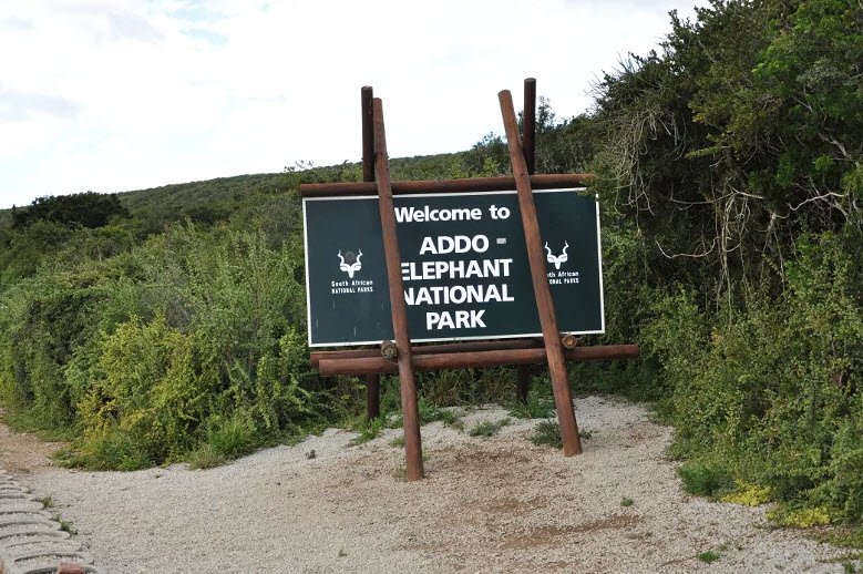 Addo Elephant National Park, Eastern Cape, South Africa